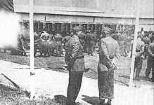 [Bild: Auswertungstafeln]